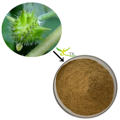 Prezzo all'ingrosso Estratto di Tribulus Terrestris in polvere Tribulus Terrestris Capsule