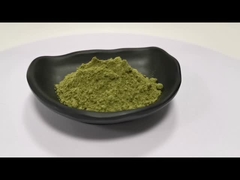 Estratto di Moringa 100% naturale in polvere Oleifera Moringa Leaf Powder Capsule di Moringa