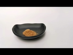 Estratto di erbe in polvere