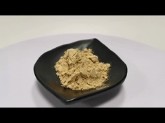 Estratto di funghi Shiitake Estratto in polvere