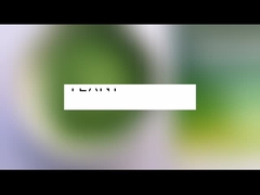 Moringa oleifera in polvere al forno