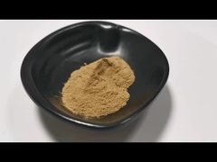 Grado alimentare miglior prezzo Aloe Vera in polvere Estratto naturale di Aloe Vera in magazzino