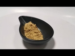 Estratto vegetale naturale in polvere Estratto fungino in polvere