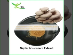 Preparazione alimentare Estratto di Pleurotus Ostreatus in polvere Estratto di Osyter Mushroom Polisaccaridi 10%