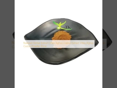 Estratto naturale di erbe Vitex Agnus Castus Estratto di Vitex Agnus Castus Prezzo in polvere