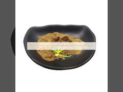 Prezzo in polvere di estratto di salsola collina 100% naturale di qualità alimentare