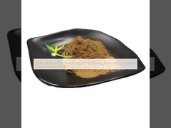 Estratto di Schisandrae 100% naturale in polvere