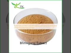 Cura dei capelli 100% naturale Bhringaraj Leaf Extract Eclipta Alba Extract Powder Re dei capelli