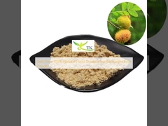 Miglior prezzo 100% di qualità alimentare naturale Rosa Roxburghii Frutta in polvere