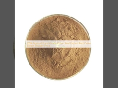 Estratto di buccia di cipolla 100% naturale di qualità alimentare
