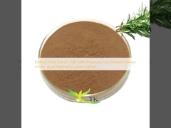 Estratto vegetale naturale 10% 50% Estratto di foglie di rosmarino Polvere Acido ursolico Estratto di foglie di rosmarino