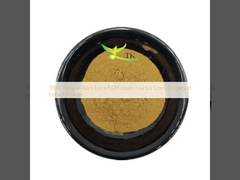 Estratto di Corniolo (Officinalis Fructus Corni) in polvere, estratto vegetale naturale al 100%