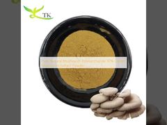 Polisaccaride naturale puro di funghi 30% Estratto di funghi d'ostrica in polvere