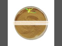 Estratto vegetale naturale ad alta correttezza Estratto di caqui bianco Estratto in polvere Estratto di caqui frutta/foglia