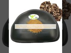 Estratto in polvere di funghi Maitake Grifola Frondosa 100% naturale, polisaccaridi per integratori sanitari