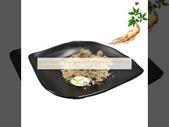 Estratto di radice di ginseng Panax naturale al 100% in polvere sfusa di radice di ginseng