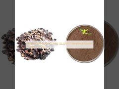 Estratto di Zenzero Nero Thailandese 1% 5% 5,7-dimetossiflavone in Polvere Per Uomini