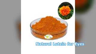 Polvere di luteina naturale per la salute degli occhi