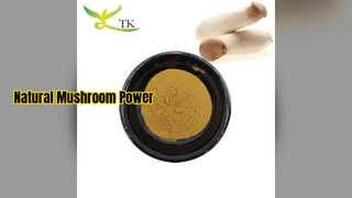 L'estratto di funghi ostrica aumenta l'immunità e la potenza cerebrale